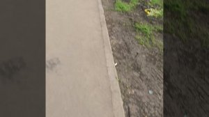 VID-20250522-WA0009.mp4