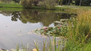 Это нельзя пропустить - Сигулда и Турайдский замок осе