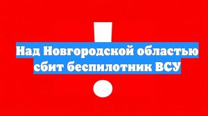 Над Новгородской областью сбит беспилотник ВСУ