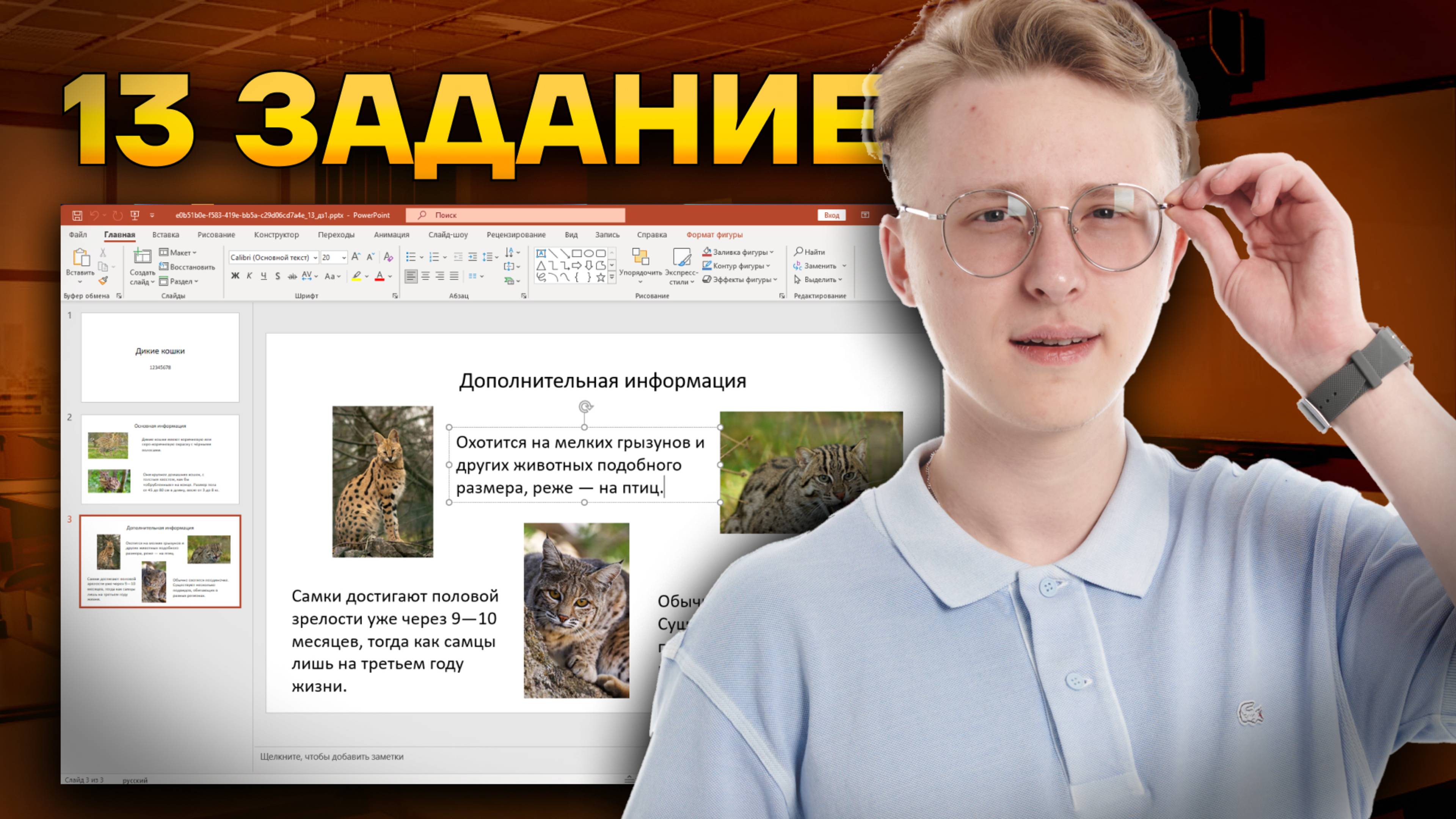 Разбор 13.1 задания ОГЭ по информатике