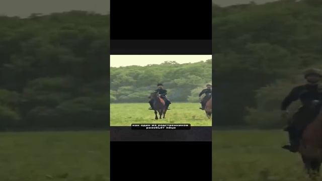 Гунзибцы #жизнь #мир #народ #интересно #история #дагест? смотреть онлайн