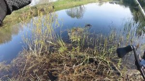 Короткая нарезка с одной рыбалки