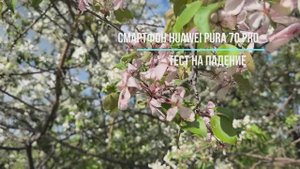 HUAWEI Pura 70 Pro ТЕСТ ЭКРАНА НА ПРОЧНОСТЬ ИТОГ ПЛАЧЕВЕН
