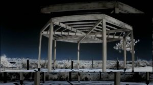 Violet Cold - Everything You Can Imagine is Real...