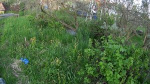 Дачная жизнь ч.3