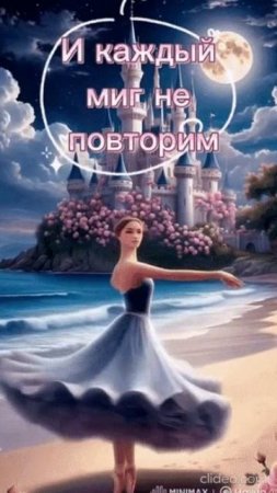 ВОСКРЕСЕНЬЕ.  Shorts.