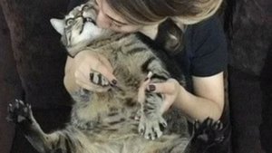 Стих. Я и моя кошка. Читает автор Оксана Головина.