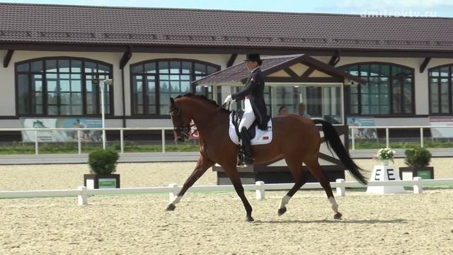 Соревнования по выездке в «Максима-Парк» смотреть онлайн