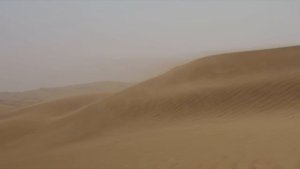 Аральское море высохло и теперь люди нашли ЭТО