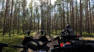 #76-10 Мыс Речной | Kove 500 X | Voge 300 Rally | KTM 390 Adventure SW