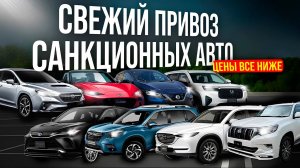 САНКЦИОННЫЕ АВТО❗🔥PRADO🔥HARRIER🔥NOTE E-POWER🔥MAZDA CX-8🔥FORESTER🔥LEAF🔥