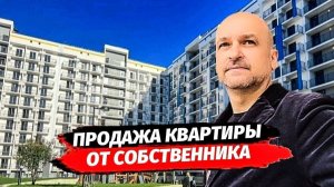 "Квартира от собственника в Сочи" банеры и растяжки. Фейки в интернете