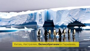 АНТАРКТИДА сейчас #путешествия #антарктика #antarctica