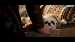 Семь психопатов Seven Psychopaths 2012 смотреть онлайн на vidozon com