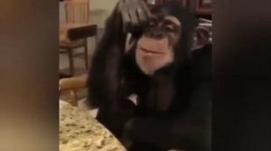 Прикол! Когда зарплата, не пойму?