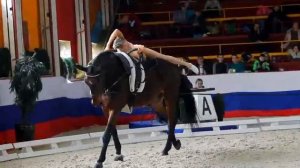 Чемпионат и Первенство России по вольтижировке