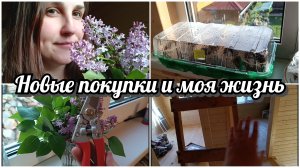 Что купила и что выросло: джинсы, секатор и мои растения