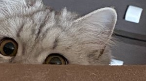 расхламляю свою канцелярию 🌚