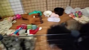 VID-20250524-WA0000