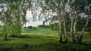 Умывает красно солнышко руки теплые в росе.