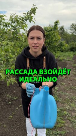 Рассада взойдёт идеально, если использовать это