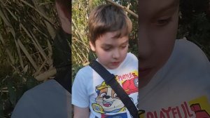 Мы пилим деревья