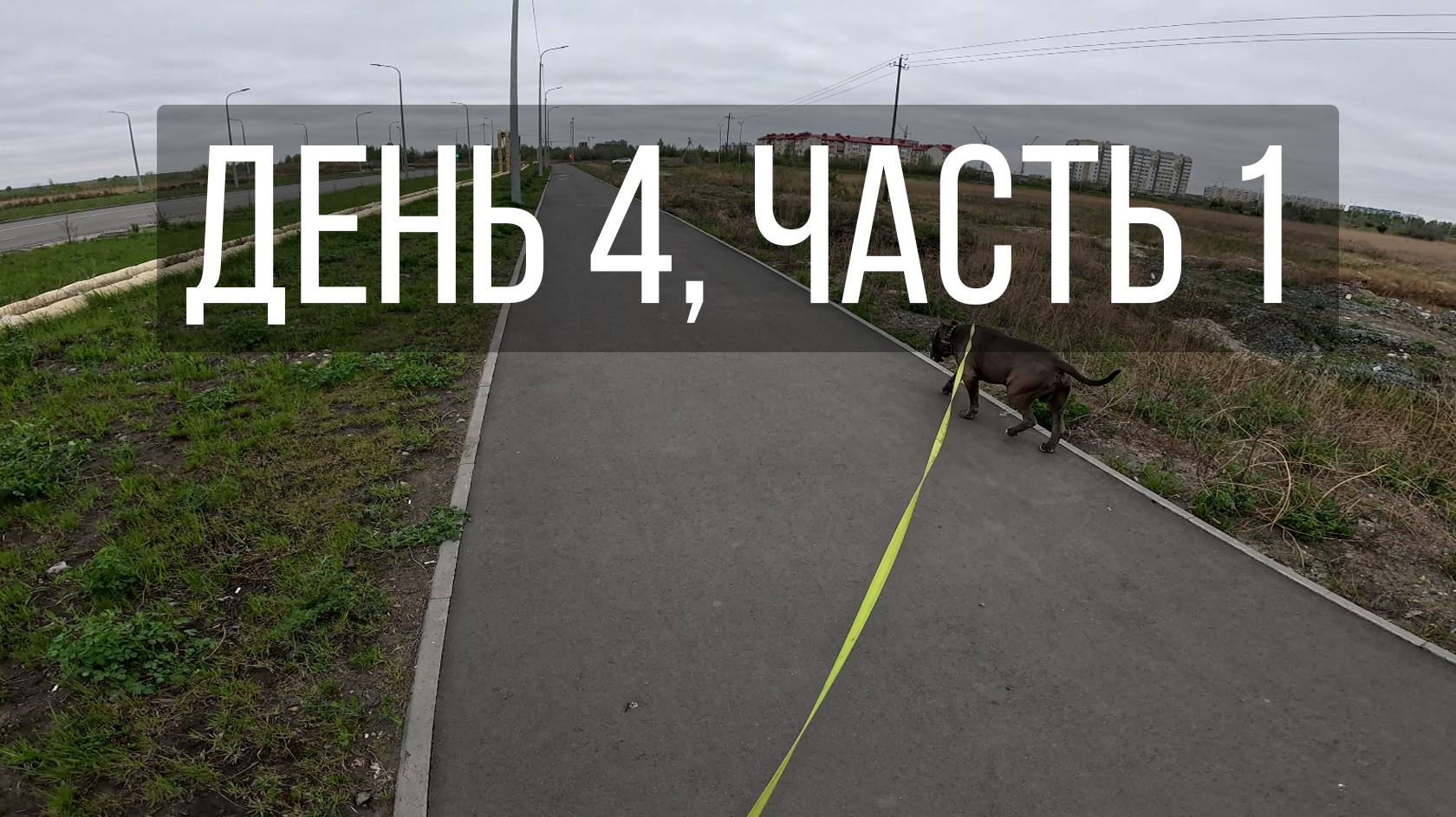 День 4, часть 1