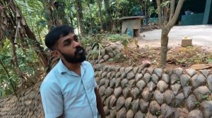 Шри-Ланка / На поезде по 9 арочному мосту /  Нувара Элия /