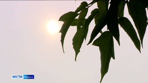 Вести-Томск, выпуск от 24.05.2025 20:50