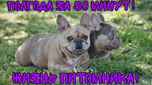 Пол года за 50 минут. Жизнь питомника. Море и природа Краснодарского края.