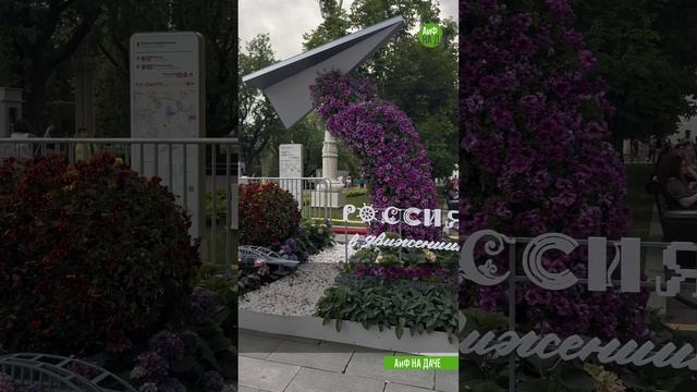 Цветочный вопрос! Сколько растений сажать в один вазон?