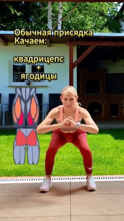 3 вида приседаний