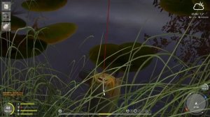 РР4 ЛИНЬ КВОЛЬСДОРФСКИЙ ТРОФЕЙ на МЕДНОМ ОЗЕРЕ!