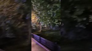 ЧР Грозный центр  вечерняя прогулка 25.04.2025