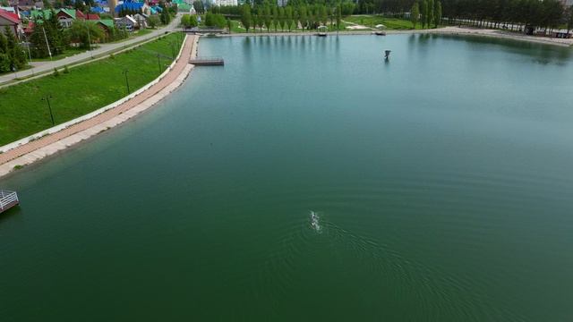 плавание в открытой воде