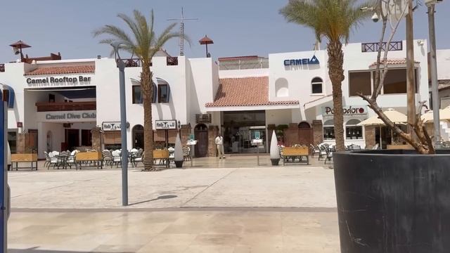 Египет. Всё бесит. Несправедливость заводит. Одним нич смотреть онлайн