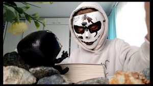 фнаф 1 часть книги "Серебряные глаза"