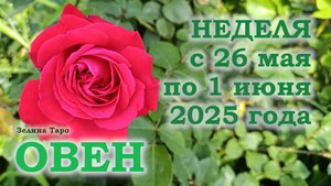 ОВЕН | ТАРО прогноз на неделю с 26 мая по 1 июня 2025 года
