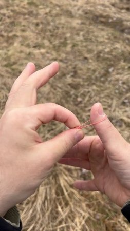 Как такое вообще возможно друзья 😳