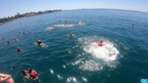 купание в открытом море