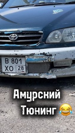 Амурский тюненг #shorts #асто