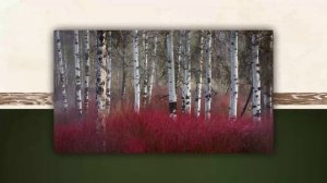 Enigma - MMX (The Social Song) (Sumon Extended Remix)