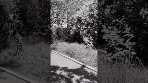 Туапсе калараша