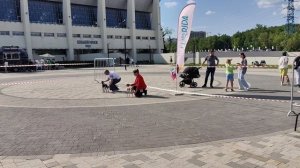 Монопородная выставка породы малая итальянская борзая (левретка) ранг КЧК, 24.05.2025, г. Москва