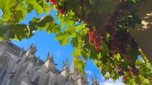 🇫🇷Путешествие по Франции: Тур, Вандом и Блуа. #франци