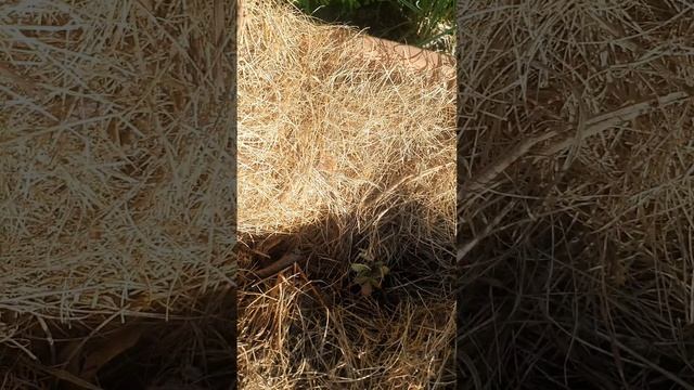 🧹🧺 Жизнь как она есть Без прикрас