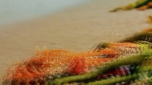 Лекарство от всего – соленая вода; В поту, слезах или м