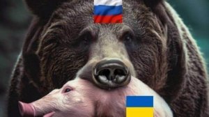 🔴Пленные древние укры🔴