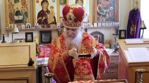Проповедь епископа Амвросия (Тимрота) в неделю 6-ю по Пасхе, 25 мая 2025