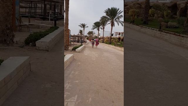 ЕГИПЕТ за 400$ на ДВОИХ 🇪🇬 Первая Линия! смотреть онлайн